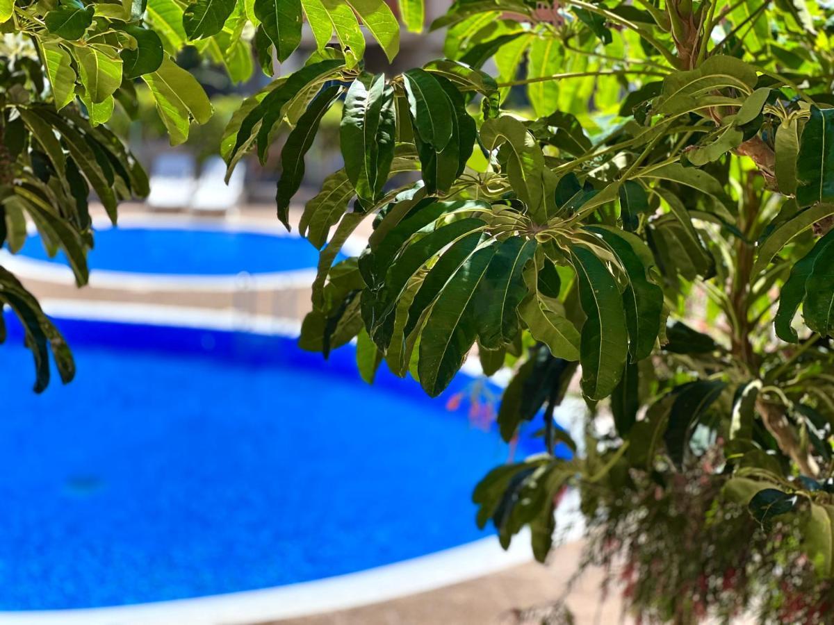 Apartment With Garden Vista Roja La Tejita 外观 照片